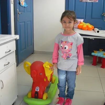 AYSE MELEK
