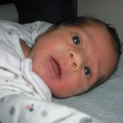 AYSEL CELIK