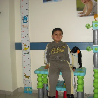 EMIR ALI