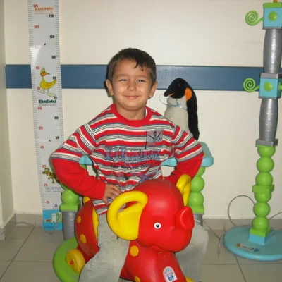 FERDI TAYFUR