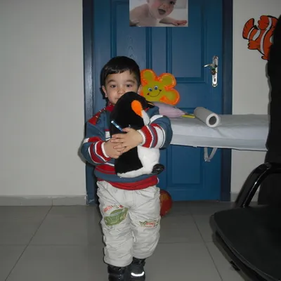 MEVLUT SUCU