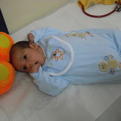 OMER PAMBUK