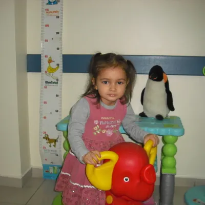 SONGUL CILDIR